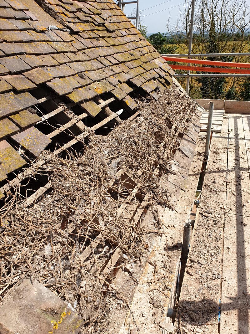 Salford Priors Barn Conversion — structural works and building envelope in progress