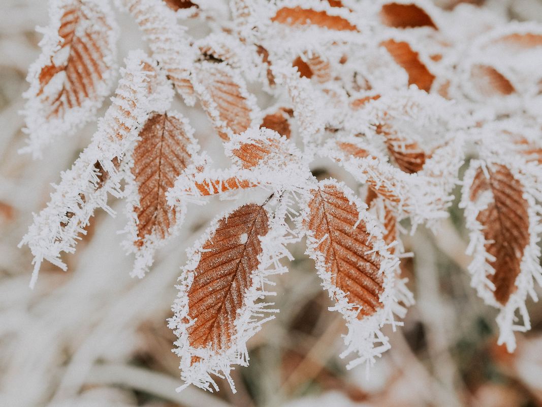 Winter Is Coming!